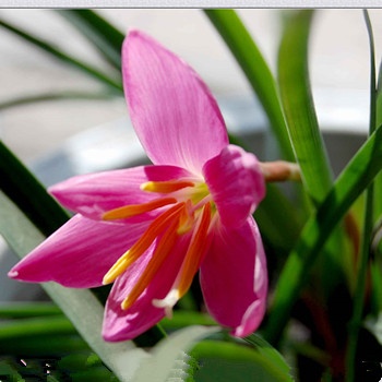 金牛座喜歡上同性有勇氣出柜嗎(圖文)