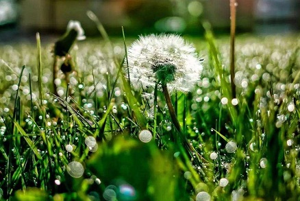 奇門遁甲元亨利貞在線排盤 八字排盤的原則是什么?(圖文)