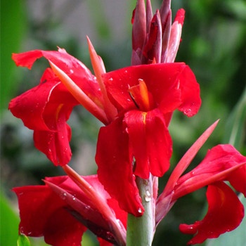 金牛座最為適當的兼職工作(圖文)