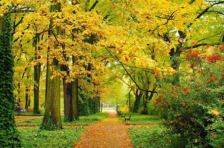 免費元貞利亨六爻排盤 何謂是八字排盤？(圖文)