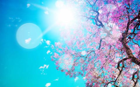 手紋有十字紋好不好,十字紋代表什么 手紋有十字紋好不好,十字紋代表什么