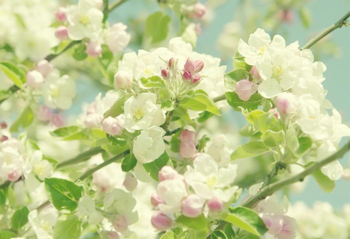 白羊座2019年五月份運勢如何？完整版解析！(圖文)