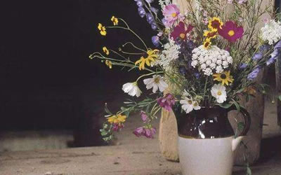 水星落入第三宮,水星在第三宮(圖文)