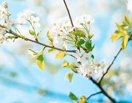 2019年農歷七月十二日子適合出殯嗎,今天是出殯安葬吉日嗎?(圖文)