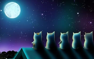 月亮星座落入射手座意味著什么(圖文)