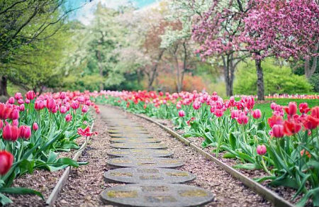 手突然長痣會怎么樣嗎，什么位置的痣千萬不能點？(圖文)