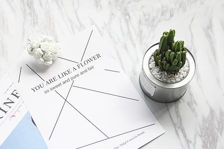 2019屬羊白羊座人的全年運(yùn)勢詳解(圖文)