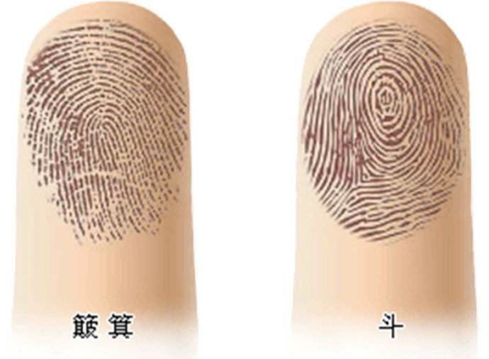 指紋“斗”多好還是“簸箕”多好？指紋如何算命？(圖文)