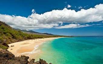 庚申年石榴木命是哪一年 庚申年石榴木命是哪一年