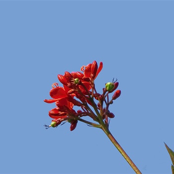 金牛座認為渣男是什么樣的(圖文)