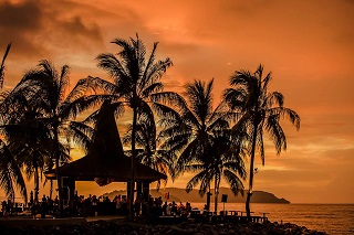 石榴木命是什么意思 石榴木命是什么意思