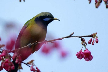 貴人多的人手相特征全解,哪些手相的人貴人運好?(圖文)