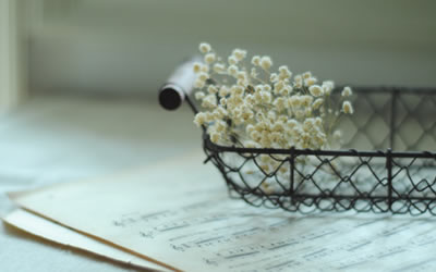 木星落入第七宮,木星在第七宮(圖文)