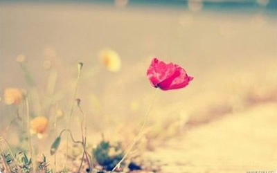 星座分析-月亮星座代表什么(圖文)