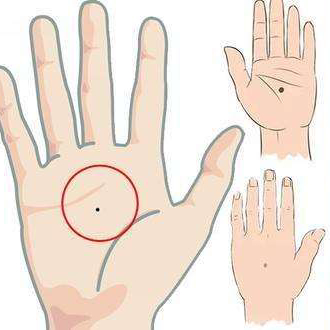 什么樣的手相會長壽,長壽的手相有哪些特征 什么樣的手相會長壽,長壽的手相有哪些特征