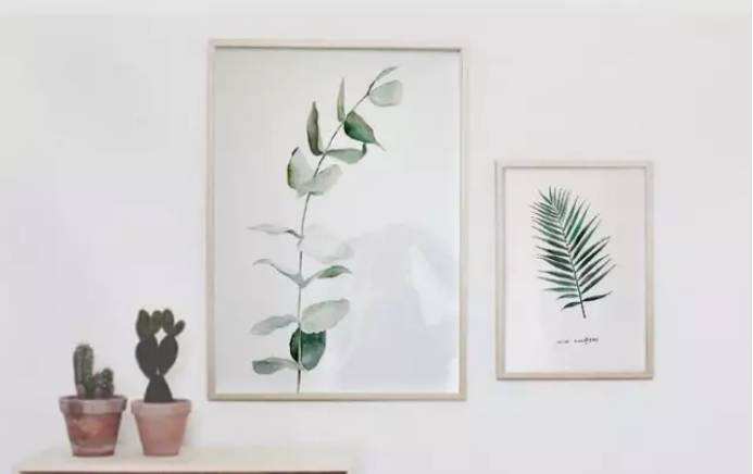 白羊座屬雞的人2019年運勢運程全面解析(圖文)