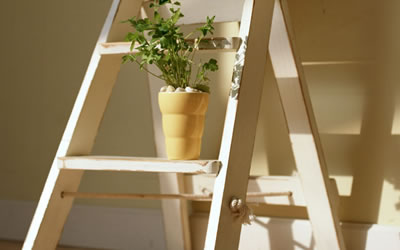 星座分析-太陽星座是什么意思(圖文)