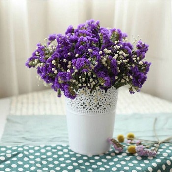 白羊座面對子女要求整容的態度(圖文)