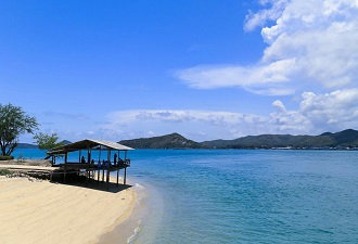 庚申年石榴木命是哪一年 庚申年石榴木命是哪一年