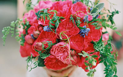 金星星座落入雙魚座意味著什么(圖文)