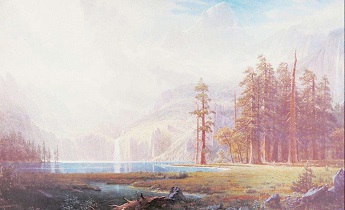 石榴木命是什么意思 石榴木命是什么意思