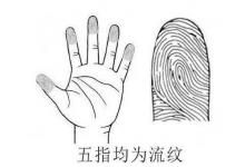 手上都是流紋代表什么 手上都是流紋是不是不好
