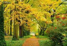 紫微斗數(shù)在線排盤解釋 紫薇斗數(shù)排盤作用是什么？