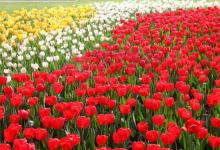 2019年3月23號可不可以搬家 入宅喬遷好嗎