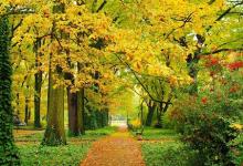 卜易居在線免費八字排盤 八字排盤是哪八字?