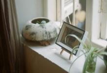 分析火象星座性格 是一個(gè)怎樣的人