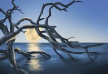 哪些星座懶得出門吃只愿意叫外賣