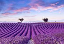 2019年4月25號結婚好嗎 適合訂婚嫁娶嗎