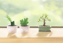 臥室風水旺財有什么方法 有哪些