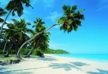 什么樣的眼形比較好 什么樣的眼形不好?