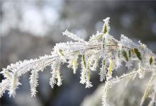 二十四節(jié)氣之小寒