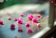 木星落入第九宮 木星在第九宮