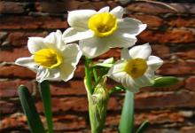 金牛座女生對男生動手動腳代表什么