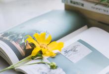 1967年白羊座的人2019年運(yùn)勢(shì)解析