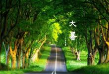 2019年大暑生孩子好不好 大暑出生的寶寶缺什么五行?