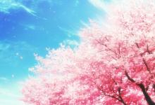 2019年一月白羊座的桃花運(yùn)