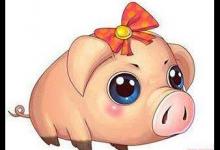 2019年屬豬人本命年的感情運勢分析