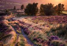 2019年6月1號結婚好嗎 適合訂婚嫁娶嗎