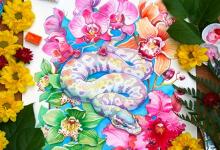 如何讓生肖蛇男主動聯系你