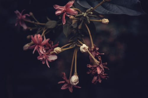 丹尼爾本周星座運(yùn)勢(shì)(2017.9.11-9.17)(圖文)