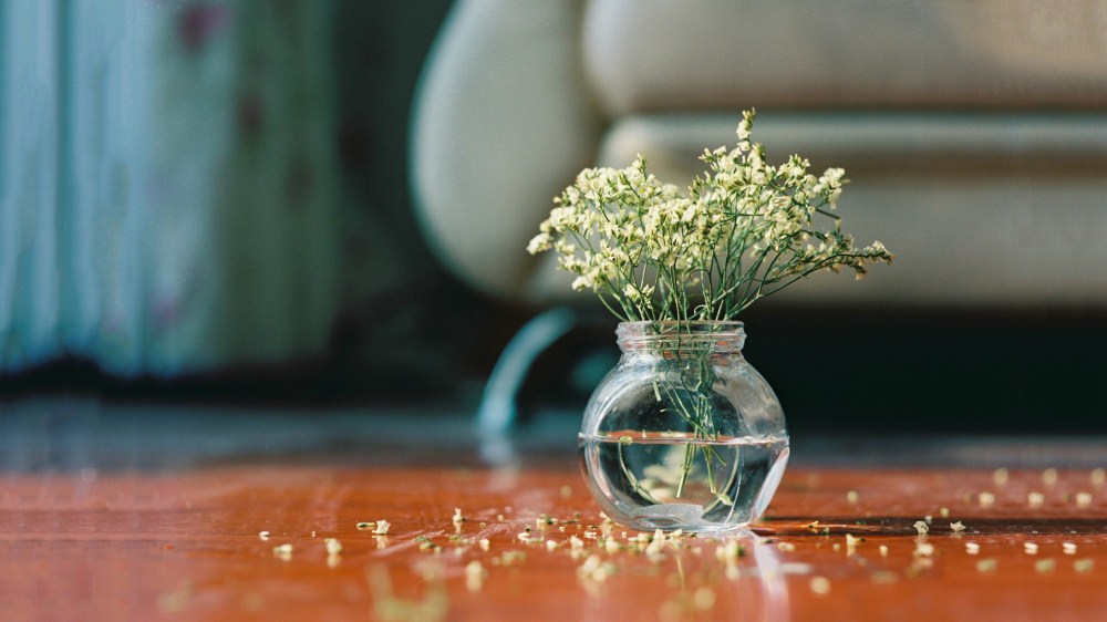 2019年農歷九月初一是黃道吉日好日子嗎?(圖文)