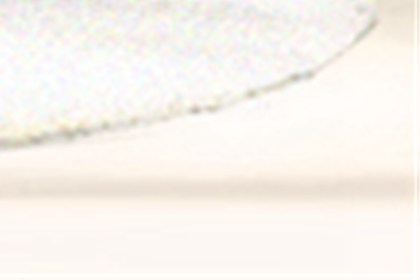 詳解:屬龍辦公室風水布局技巧與注意事項(圖文)