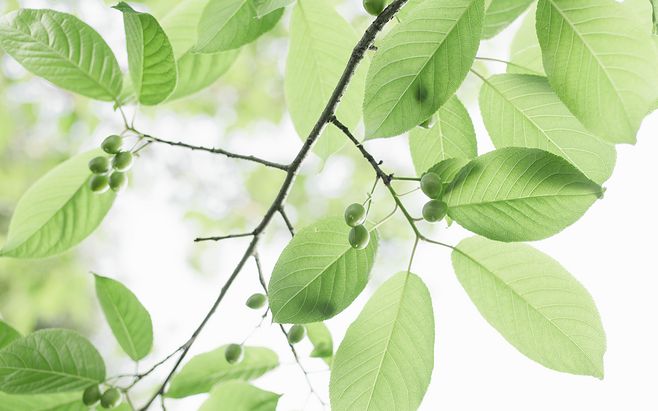 立秋和秋分有什么區(qū)別2019年七月初八立秋可不可以結(jié)婚？(圖文)