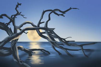 男人夢見水是什么意思 預兆著什么(圖文)