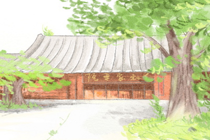 發財樹的擺放風水有什么講究(圖文)