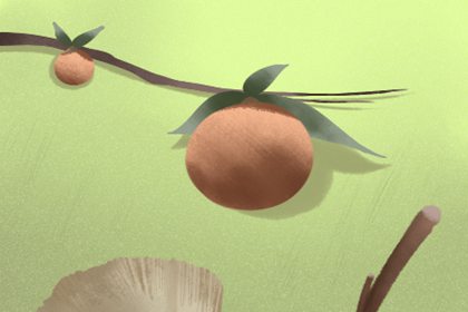 家里養幾盆花風水最好 為什么(圖文)